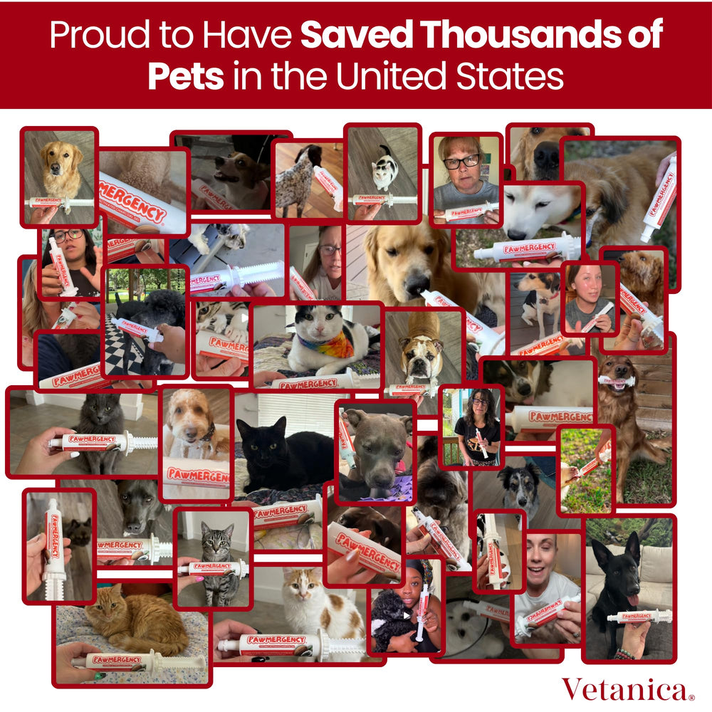 Vetanica PawMergency USA manufacturing badge signals quality and GMP standards