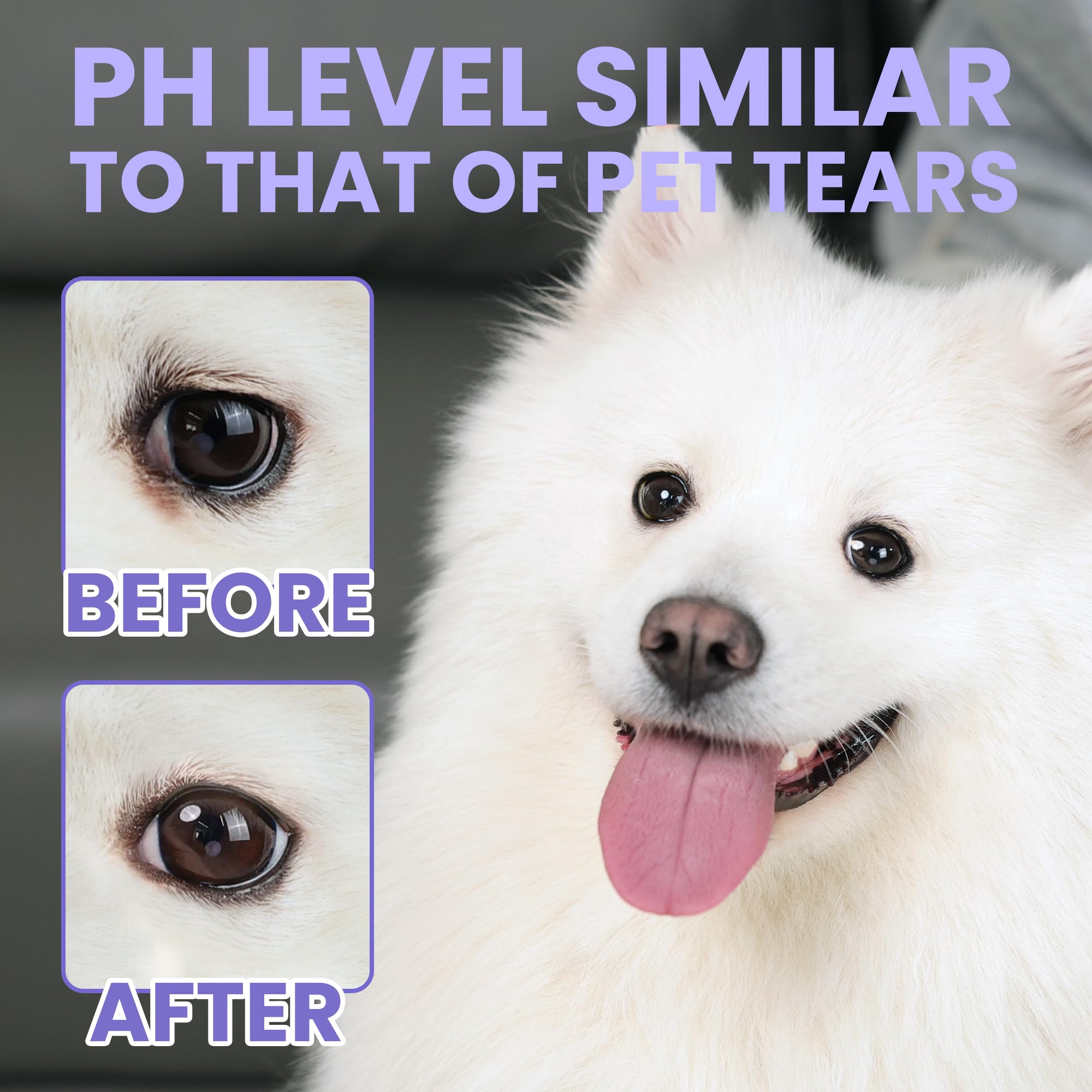 Vetanimus eye drops application dropper in action to remove debris and soothe.
