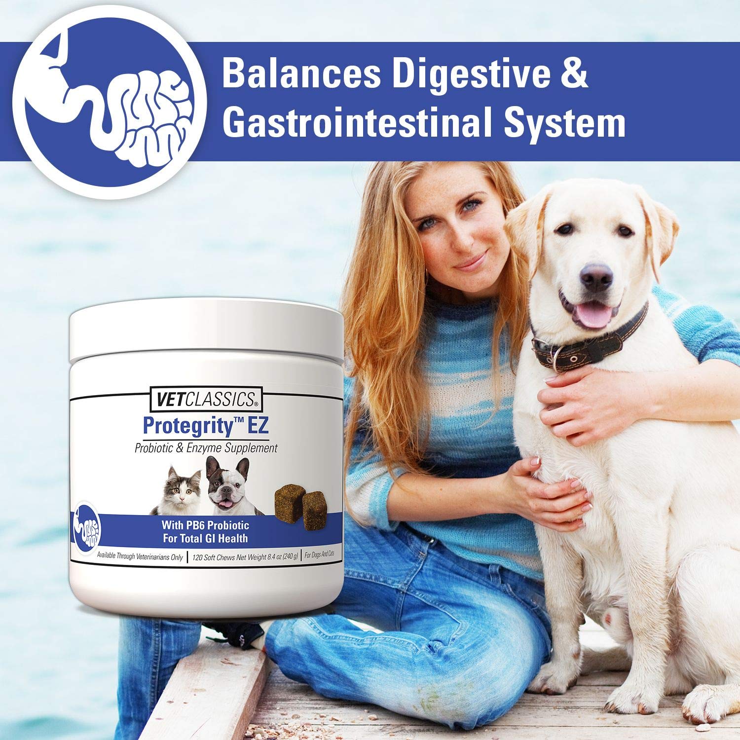 Vet Classics Protegrity EZ soft chews for dogs show probiotic support.