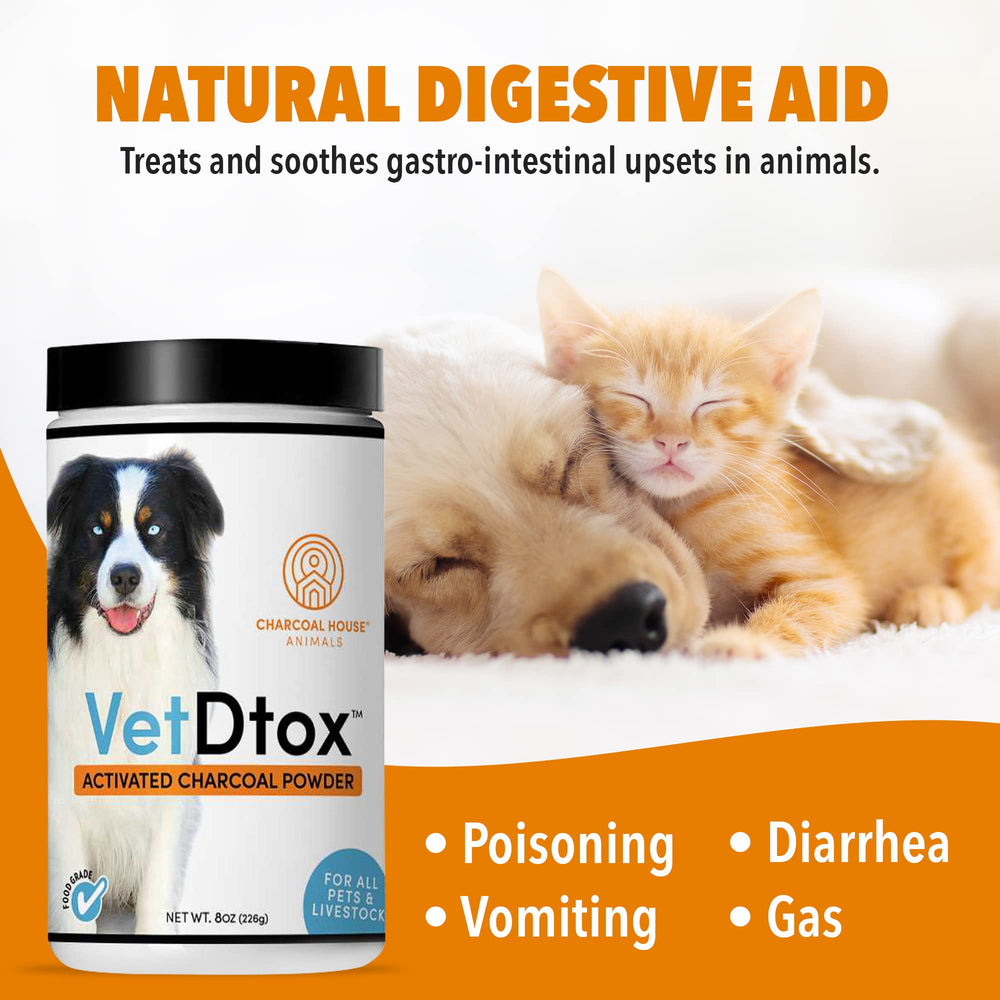 VetDtox Activated Charcoal Powder poured into pet food for stomach comfort.