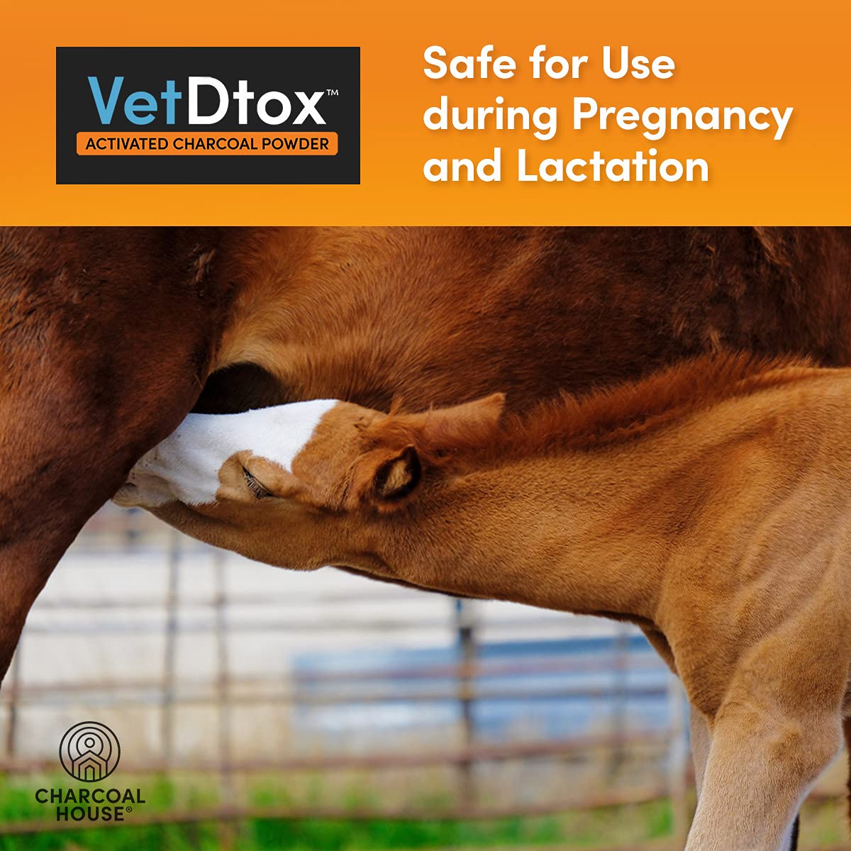 VetDtox Activated Charcoal Powder packaging close-up signaling quality and safety.