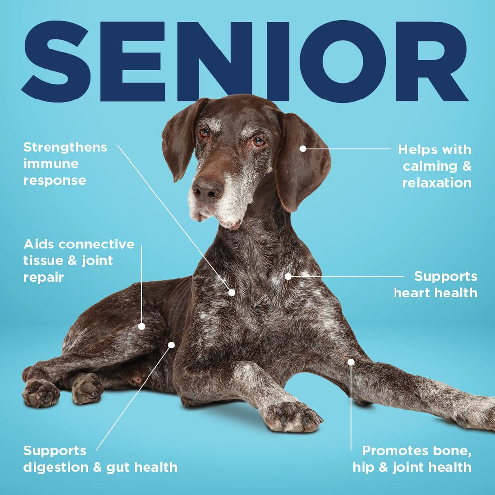 Vetericyn all-in-1 dog supplement capsules close-up—hip and joint support for aging pets.