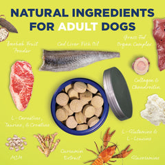 Vetericyn all-in-1 with digestive enzymes for better nutrient absorption in meals.