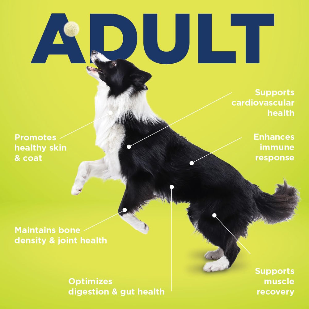 Vetericyn all-in-1 label highlighting ingredients like glucosamine and prebiotics.