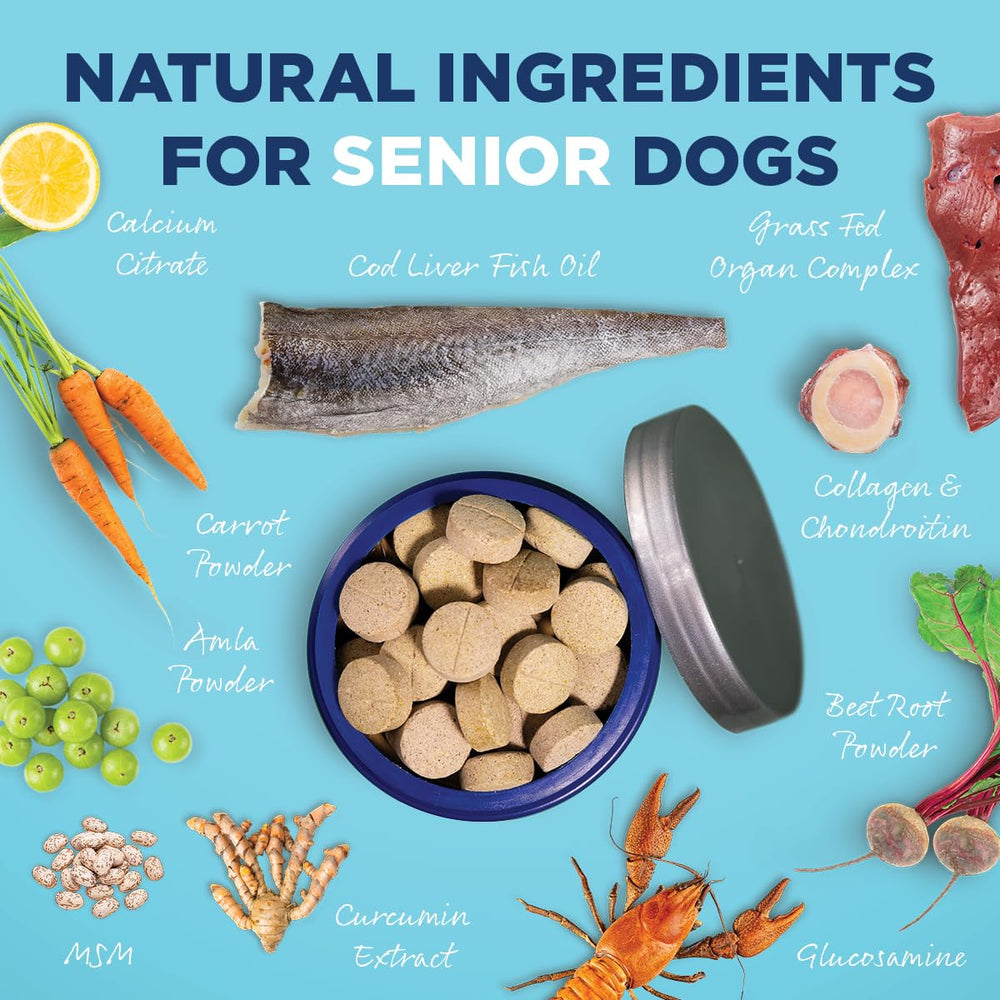 Vetericyn all-in-1 dog supplement scoop with powder—easy daily dosing for digestion.