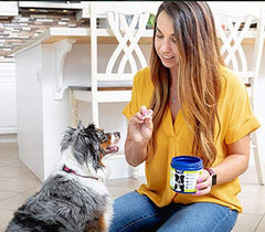 Vetericyn all-in-1 dog supplement with scoop illustrating digestion support and easy mixing.