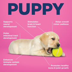 Vetericyn All-in 1 puppy immunity bottle emphasizing vitamins and antioxidants