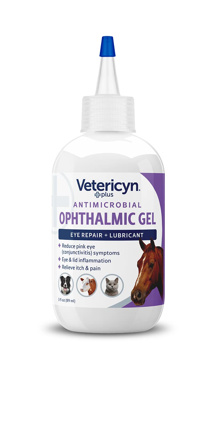 Horse eye closeup—specific care for equine eye discomfort.