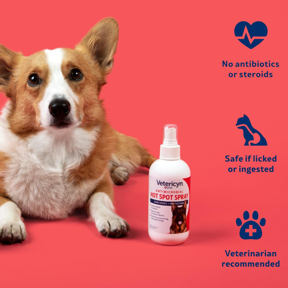 Vetericyn Plus hot spot spray creates calm, comfortable dog after treatment