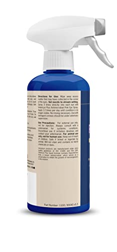 Vetericyn Plus Pink Eye Spray on livestock eye for safe, non-toxic treatment.