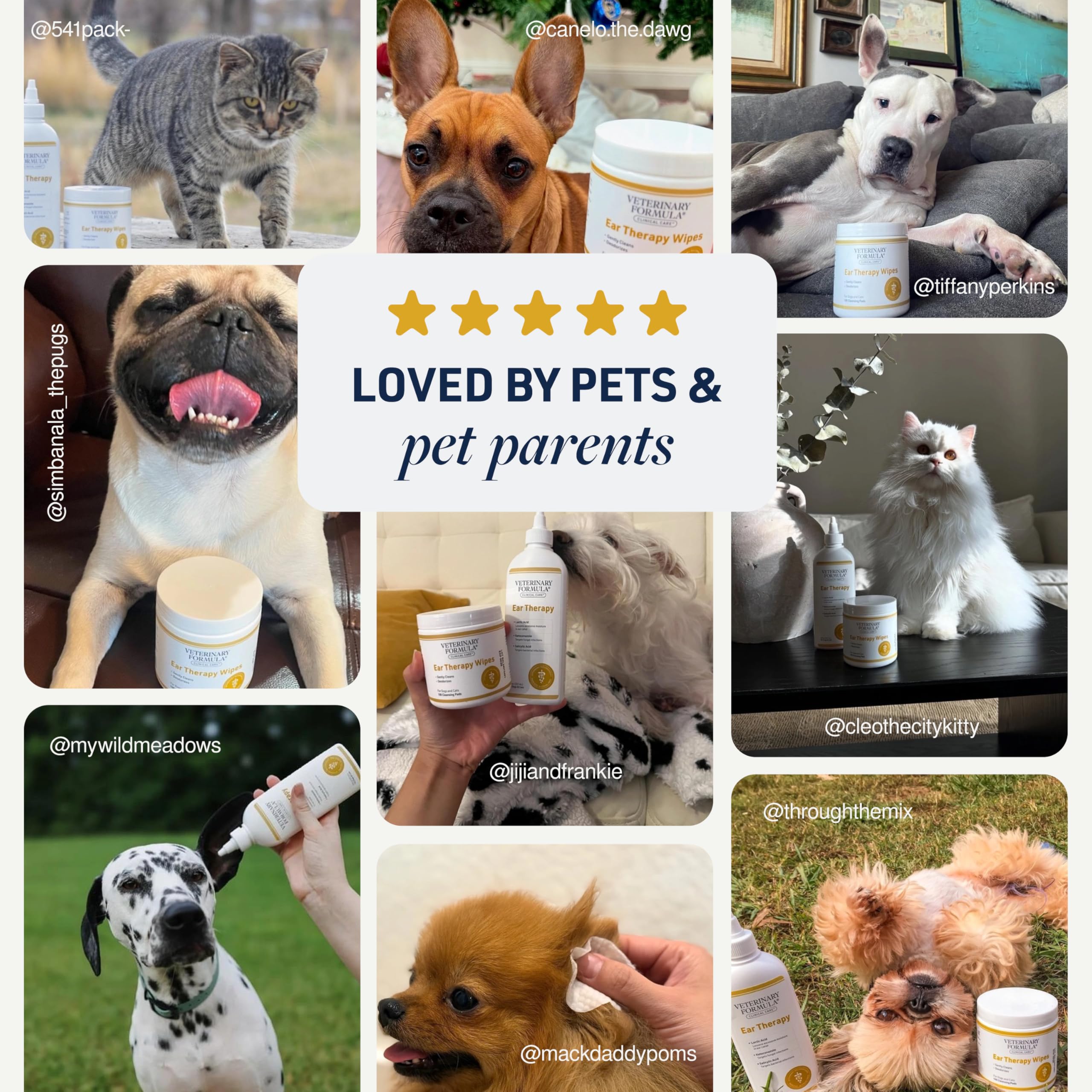 Veterinary Formula Ear Therapy used in a daily maintenance to support ear health.