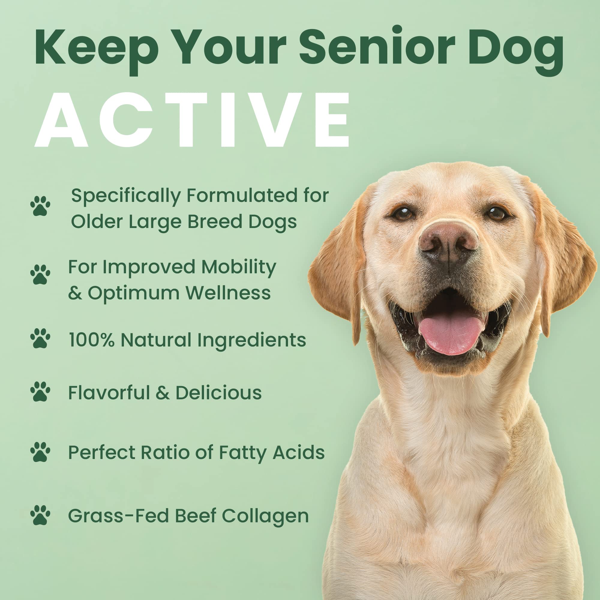 Veterinary Naturals Hemp & HIPS beef-bacon flavor chews appealing to aging dogs