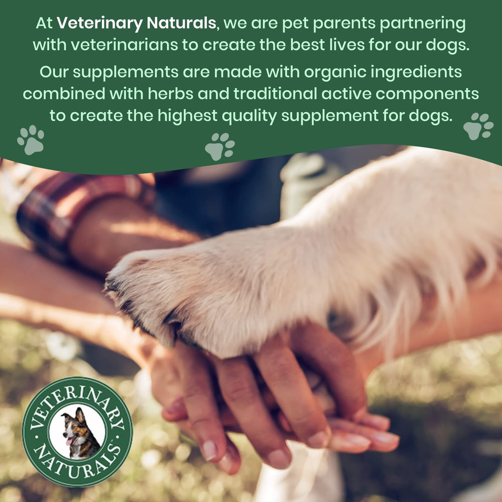 Veterinary Naturals Hemp & HIPS chews in a bowl, a tasty joint support.