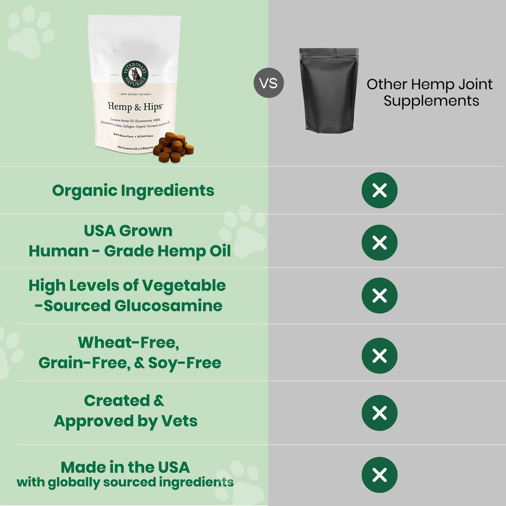 Veterinary Naturals Hemp & HIPS dog outdoors with improved mobility