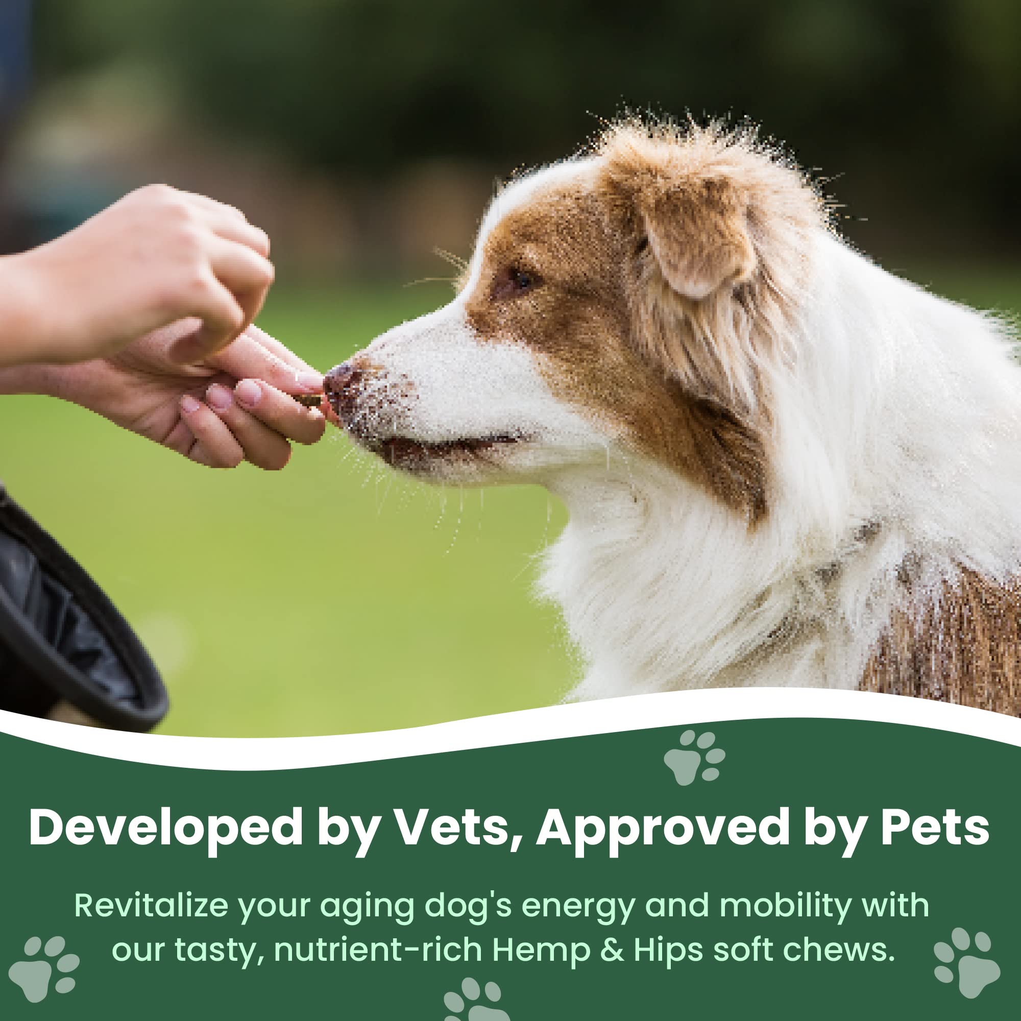 Veterinary Naturals Hemp & HIPS soft chews in a bowl for dogs