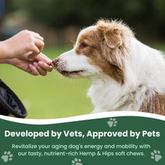 Veterinary Naturals Hemp & HIPS soft chews in a bowl for dogs