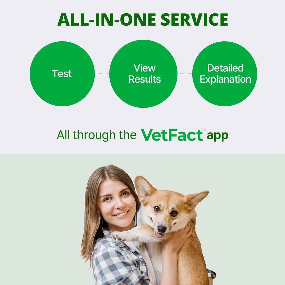 VetFact noninvasive at-home testing keeps pet care convenient and stress-free.