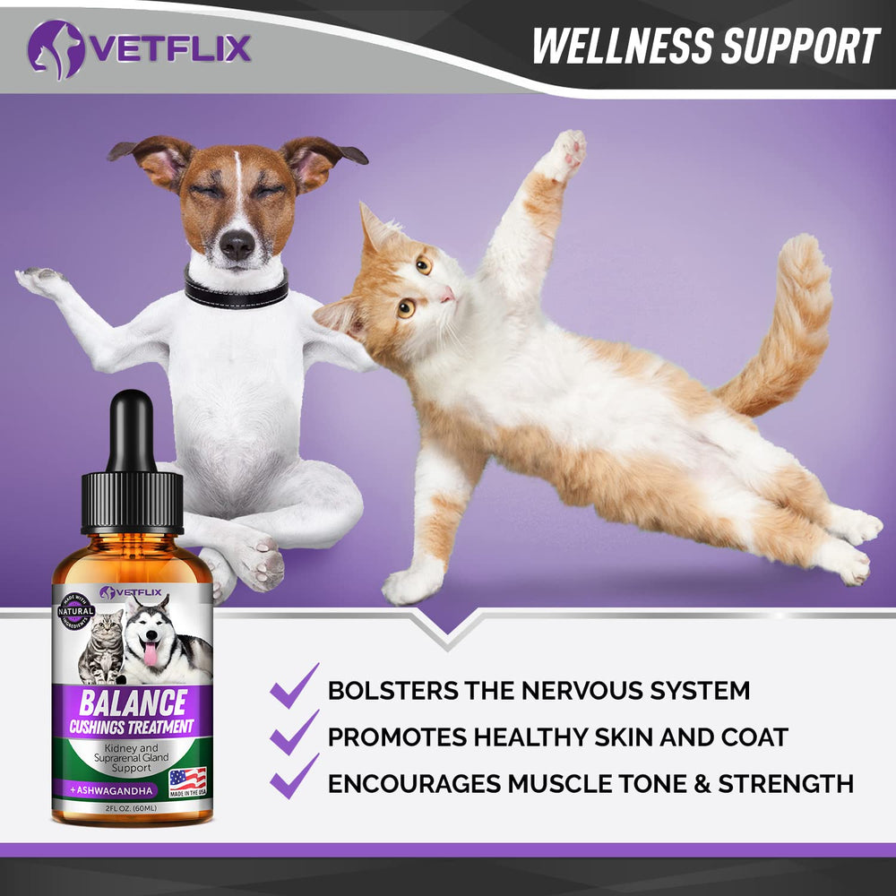 Vetflix Balance label closeup highlights USA-made quality