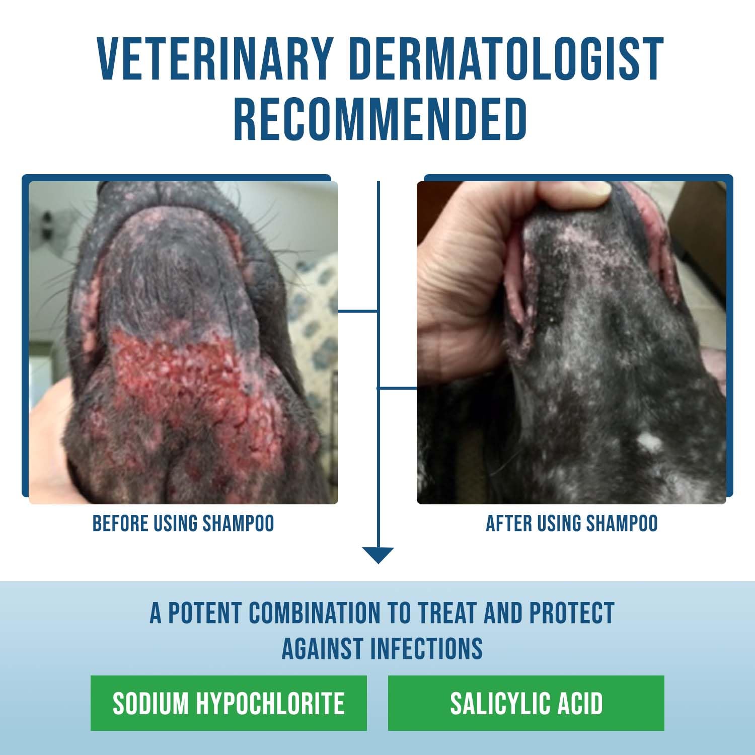 VetriMAX Command whitening effect visible in coat after bathing.