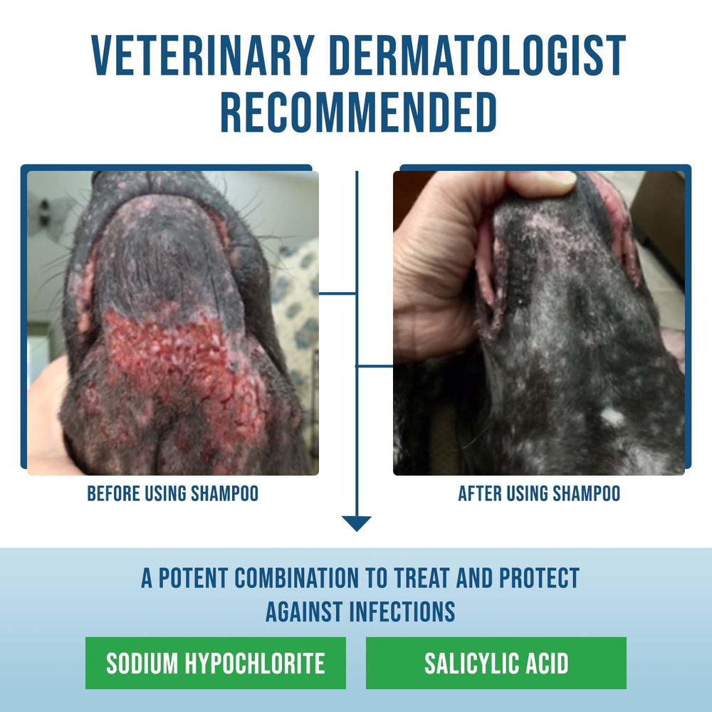 VetriMAX Command whitening effect visible in coat after bathing.