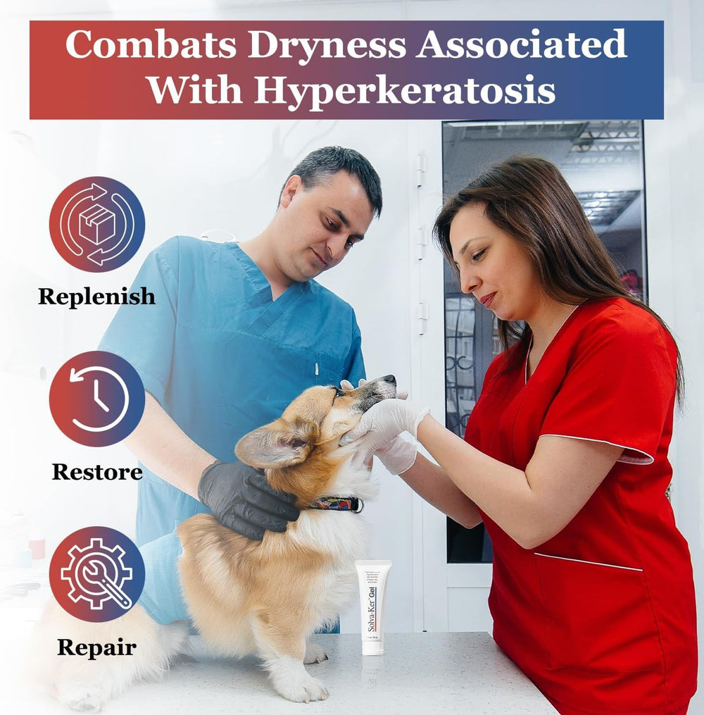 VetriMAX dogs nose application shows easy gel spread and quick drying.