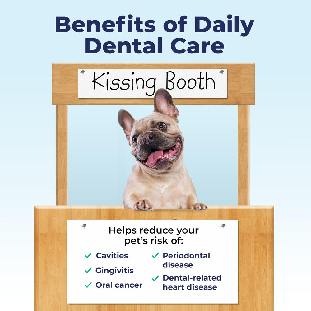 Vetnique Dentabliss wipe brushing beads detail shows plaque removal and tartar prevention