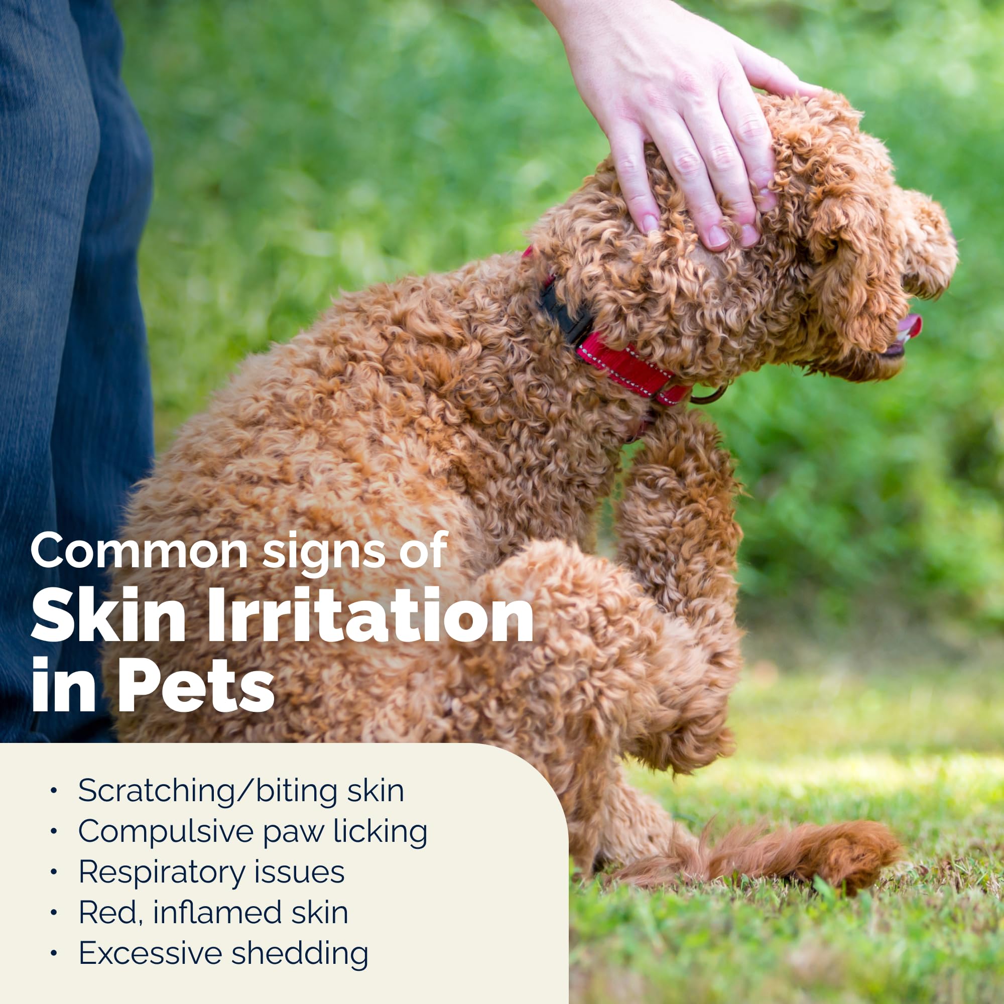 Safety label on Vetnique Dermabliss wipes indicating canine and feline use