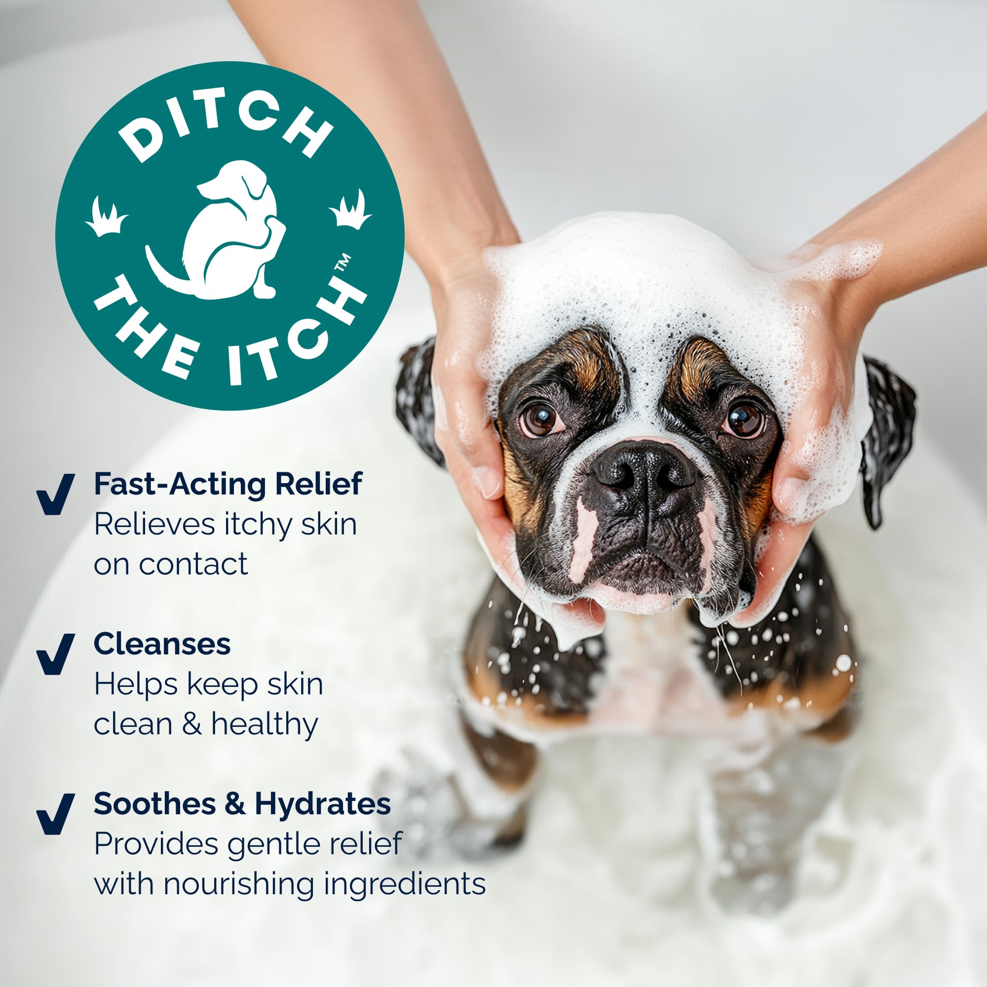 Vetnique Dermabliss omega-3-6-9 ingredients displayed for skin and coat nourishment.