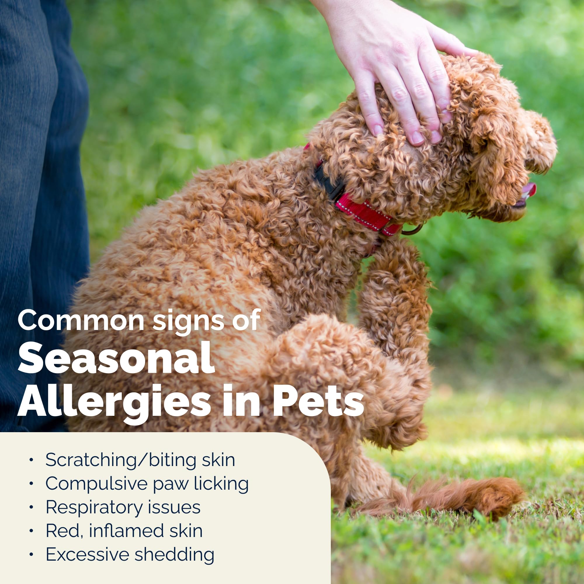 Vetnique Dermabliss pramoxine depiction indicates temporary itch relief for dogs.