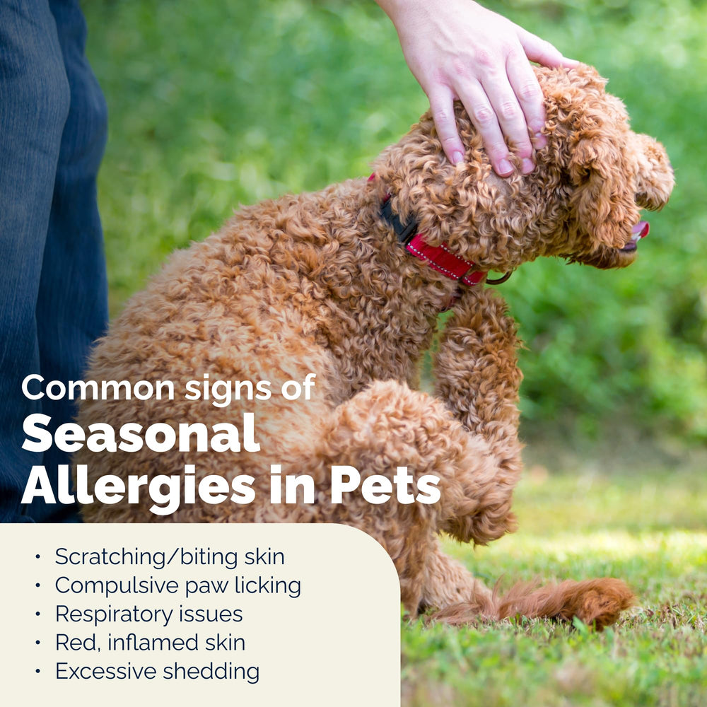 Vetnique Dermabliss pramoxine depiction indicates temporary itch relief for dogs.