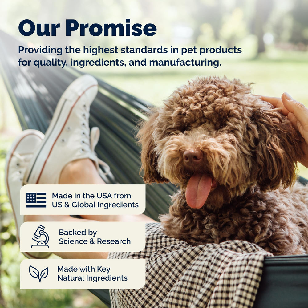 Vetnique Dermabliss USA-made grooming product for pet skin support.