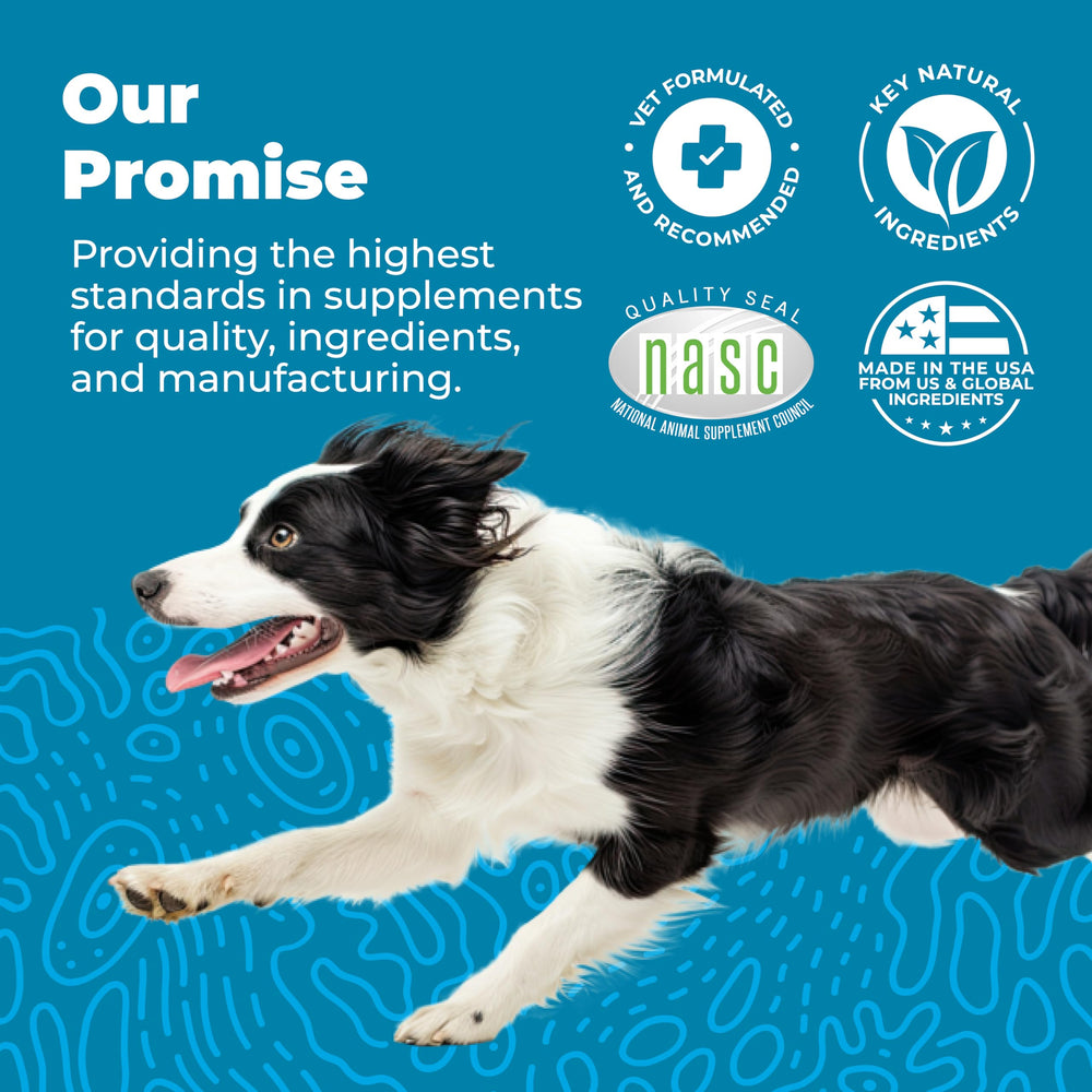Front packaging of 30-count bottle ready-to-use daily probiotic option
