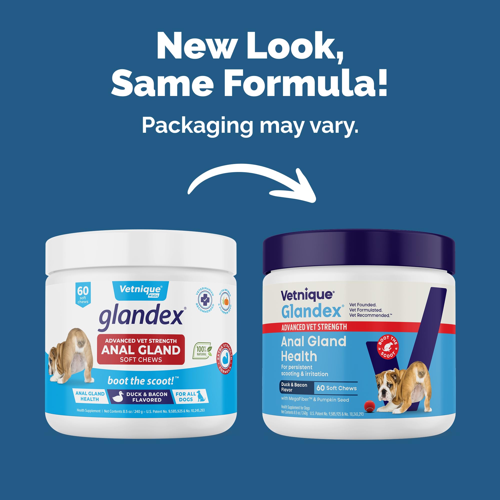 Advanced strength Vetnique Glandex dog treats packaging shows daily digestion benefits.