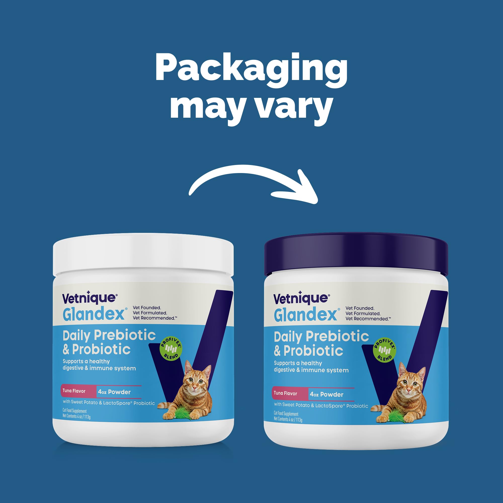 Vetnique Glandex cat daily probiotic powder supports digestive health and immune function