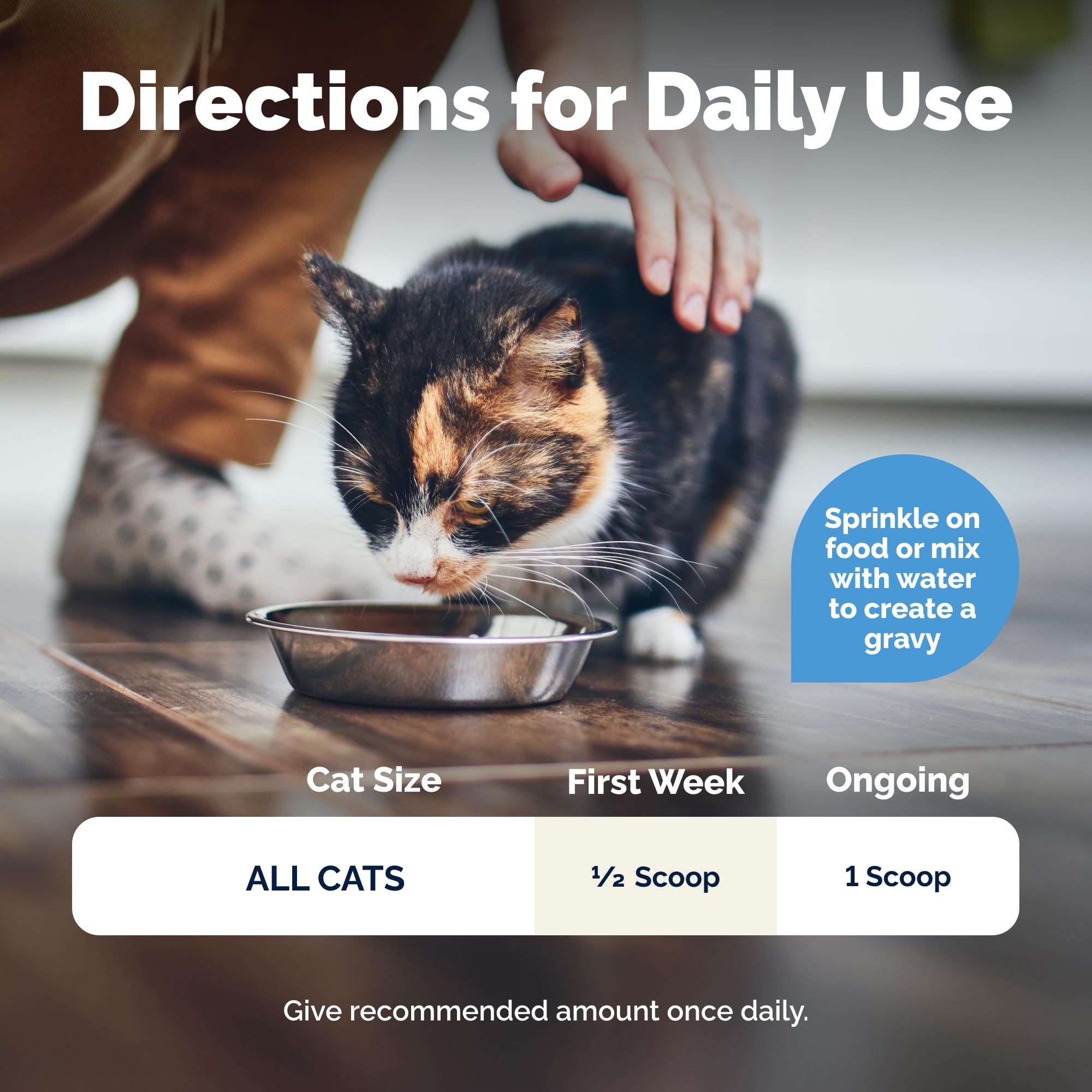 Vetnique Glandex cat pumpkin seed fiber supports gut comfort