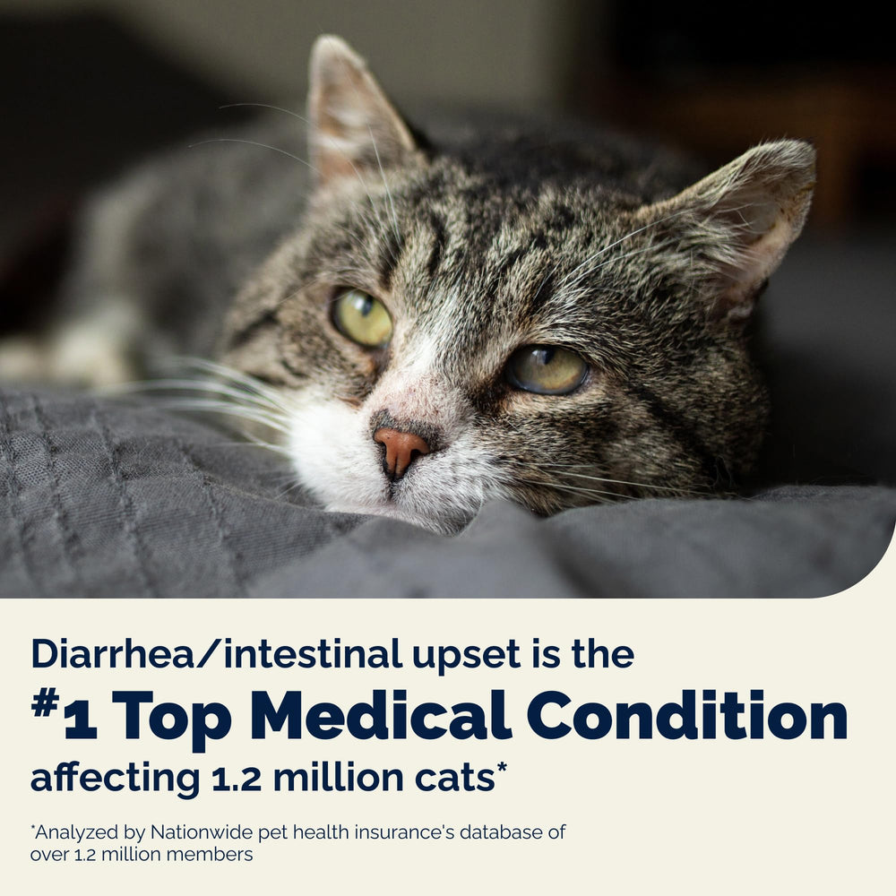 Vetnique Glandex cat scoop dispense demonstrates easy daily dosing