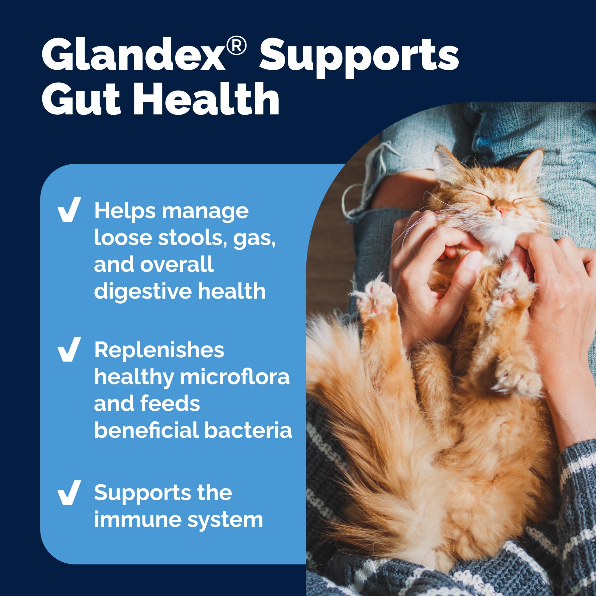 Vetnique Glandex cat tuna flavor powder highlights palatable daily supplement