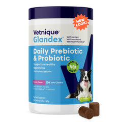 Vetnique Glandex Daily Probiotics bottle closeup for trusted gut health support.