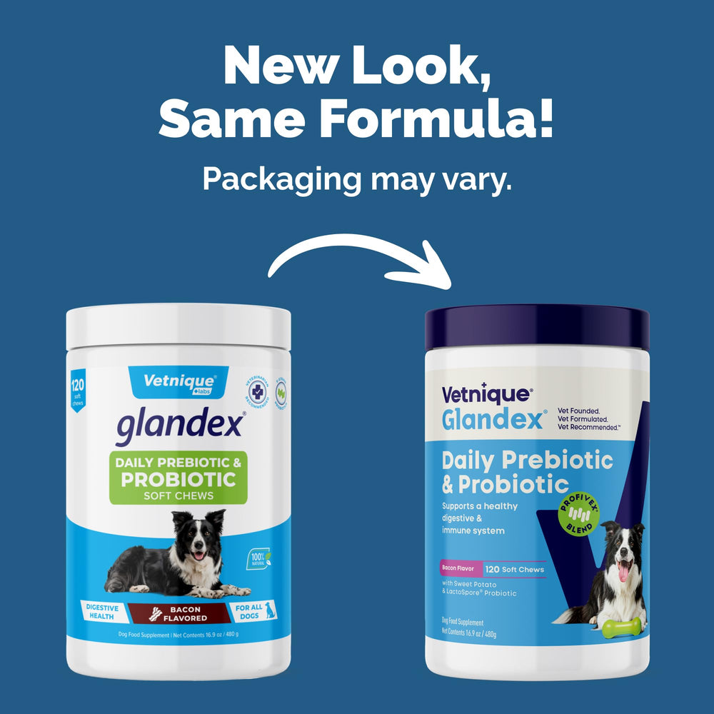 Vetnique Glandex Daily Probiotics bacon chews pack for tasty daily gut support.