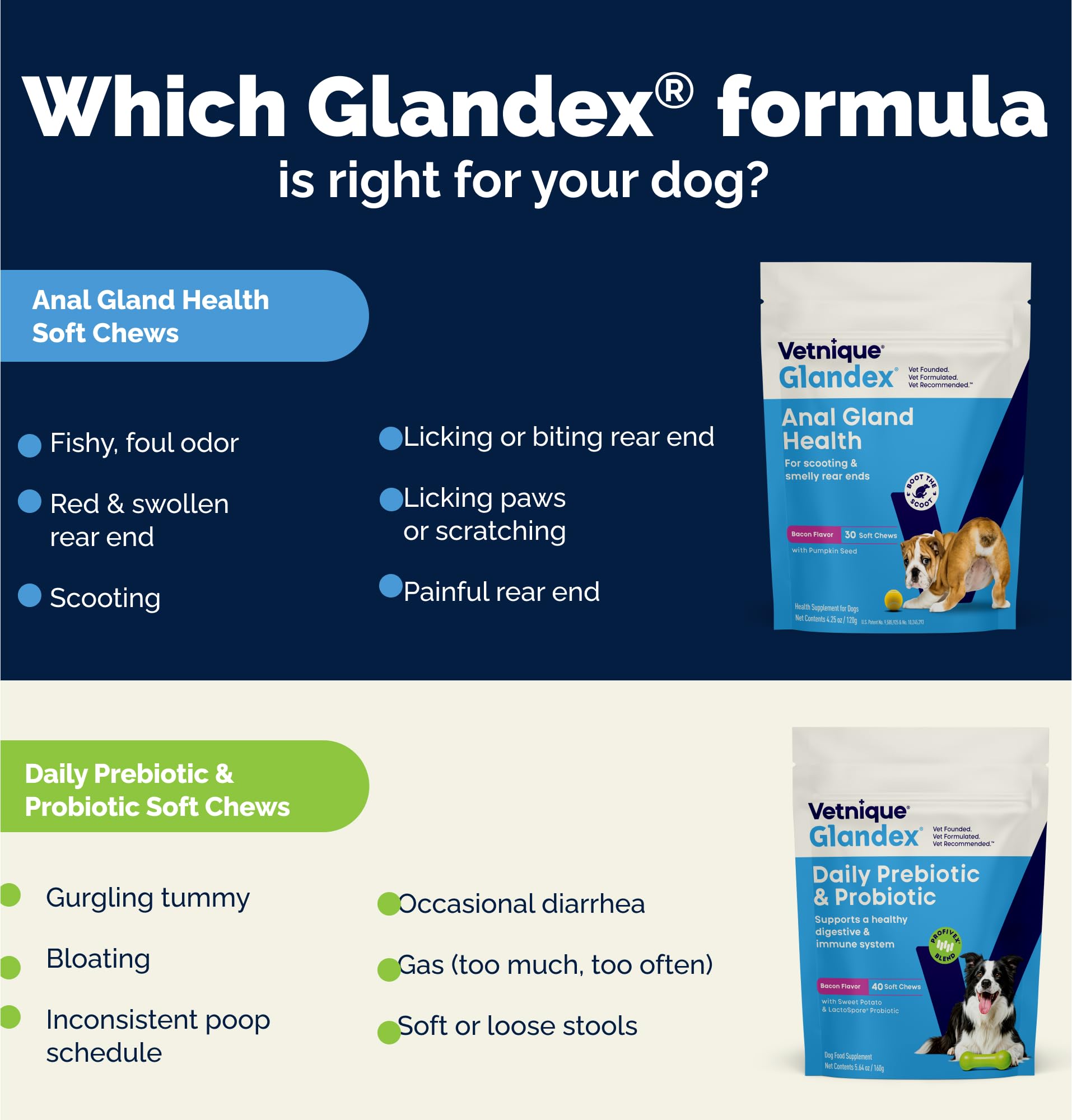 Vetnique Glandex daily probiotics for dogs chews texture closeup suggests tasty, easy supplementation.
