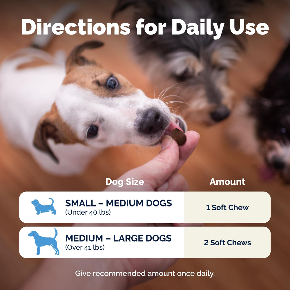 Vetnique Glandex daily probiotics for dogs digestive health graphic suggests daily comfort.