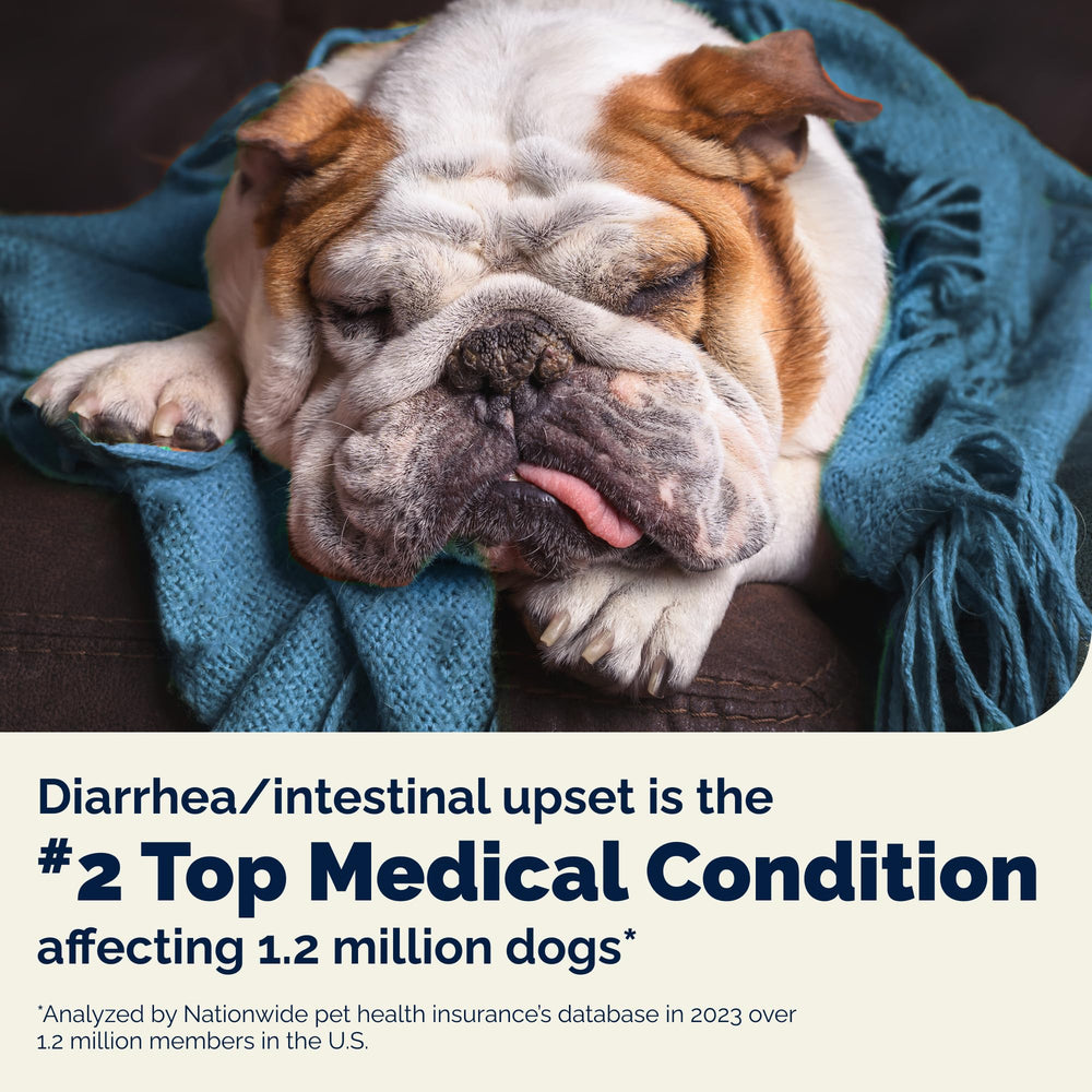 Vetnique Glandex daily probiotics for dogs enzyme blend graphic highlights digestive health support.