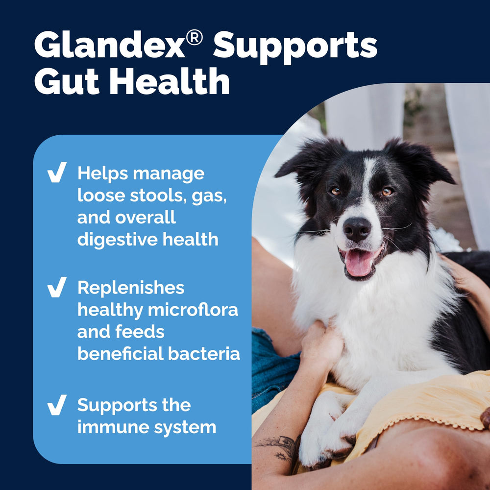 Vetnique Glandex daily probiotics for dogs fiber prebiotics image shows gut balance support.