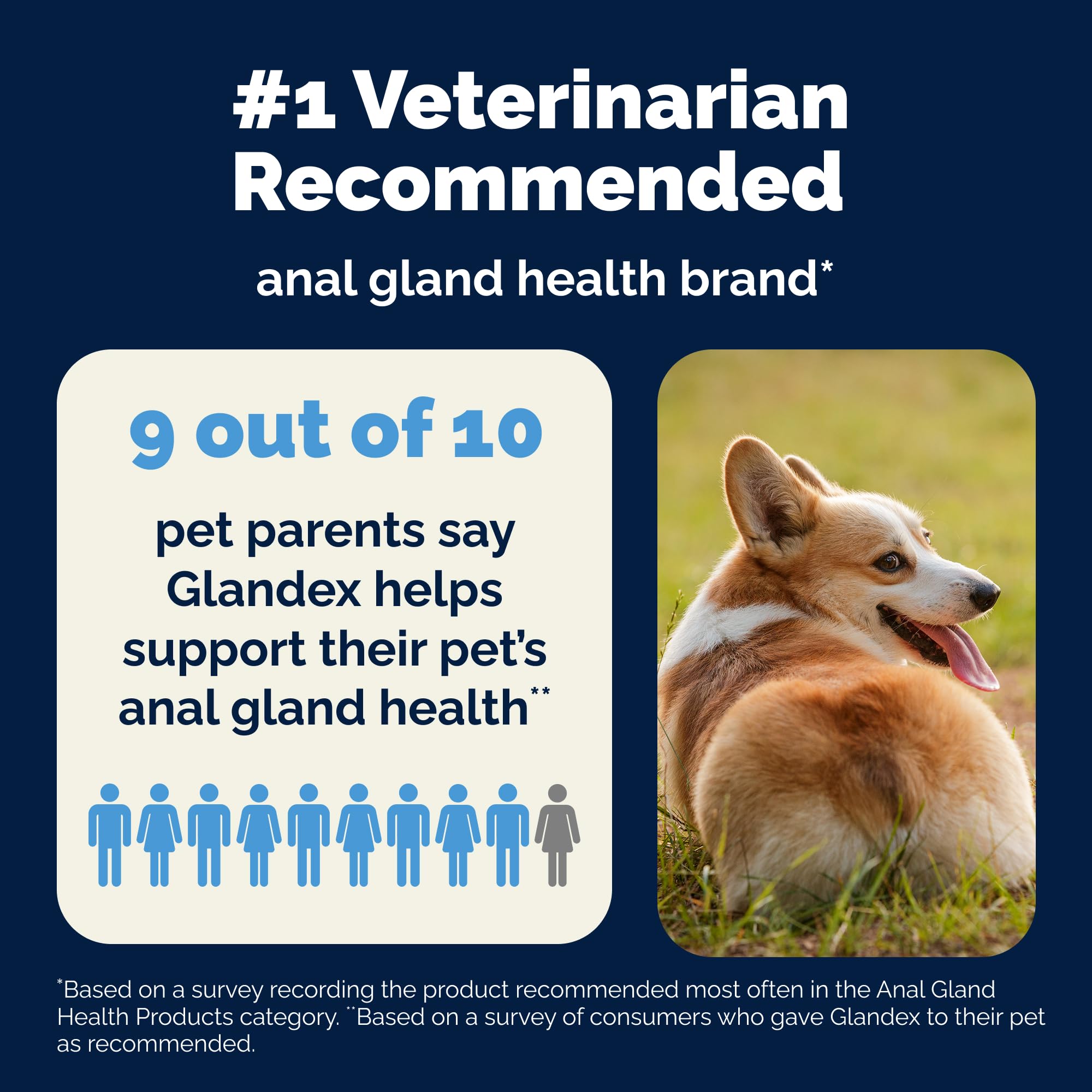 Vetnique Glandex daily probiotics for dogs ingredient panel highlights natural probiotic and prebiotic blend.