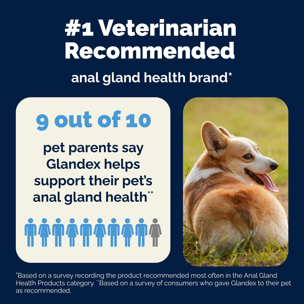 Vetnique Glandex daily probiotics for dogs ingredient panel highlights natural probiotic and prebiotic blend.