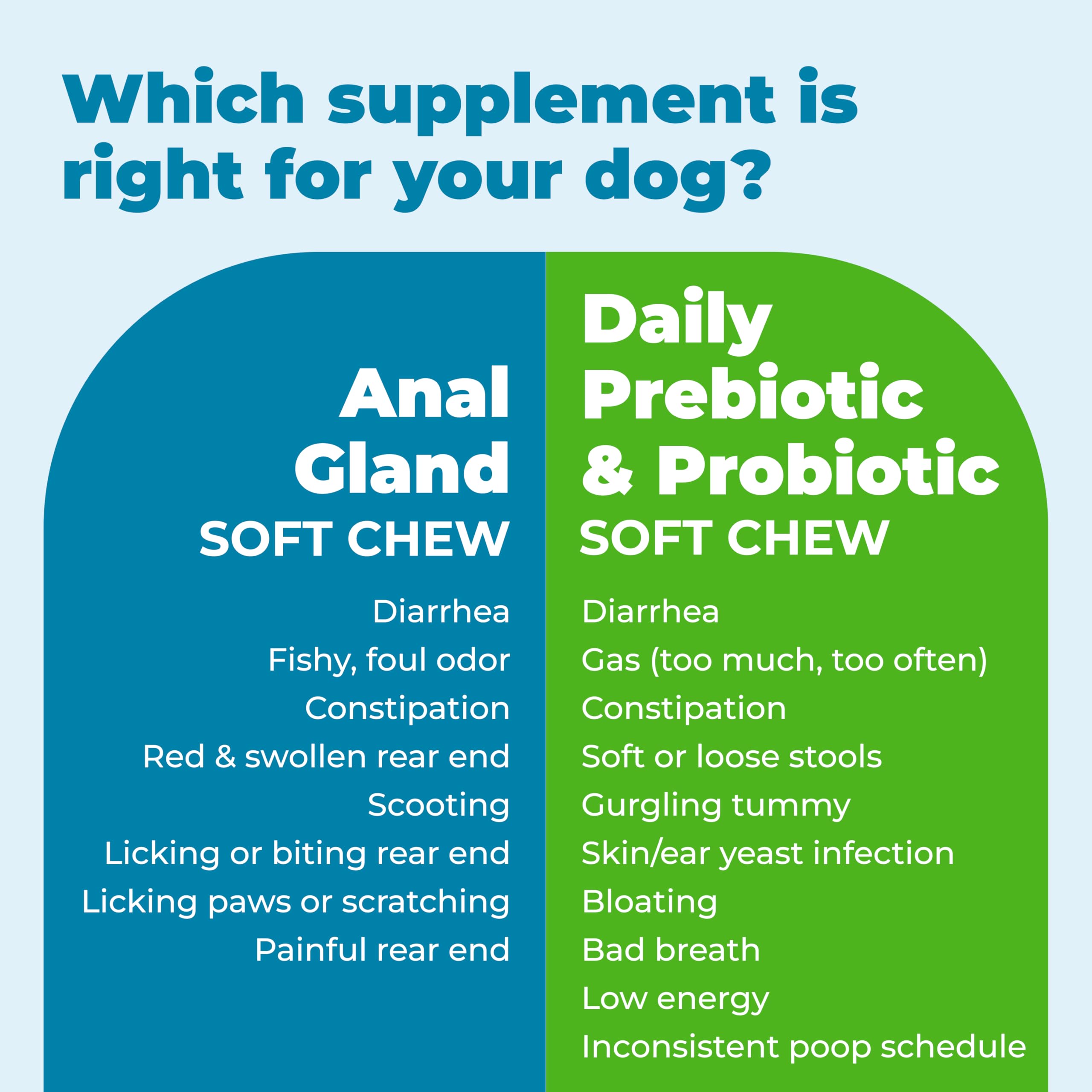 Glandex with prebiotics and fiber supports digestive comfort in dogs