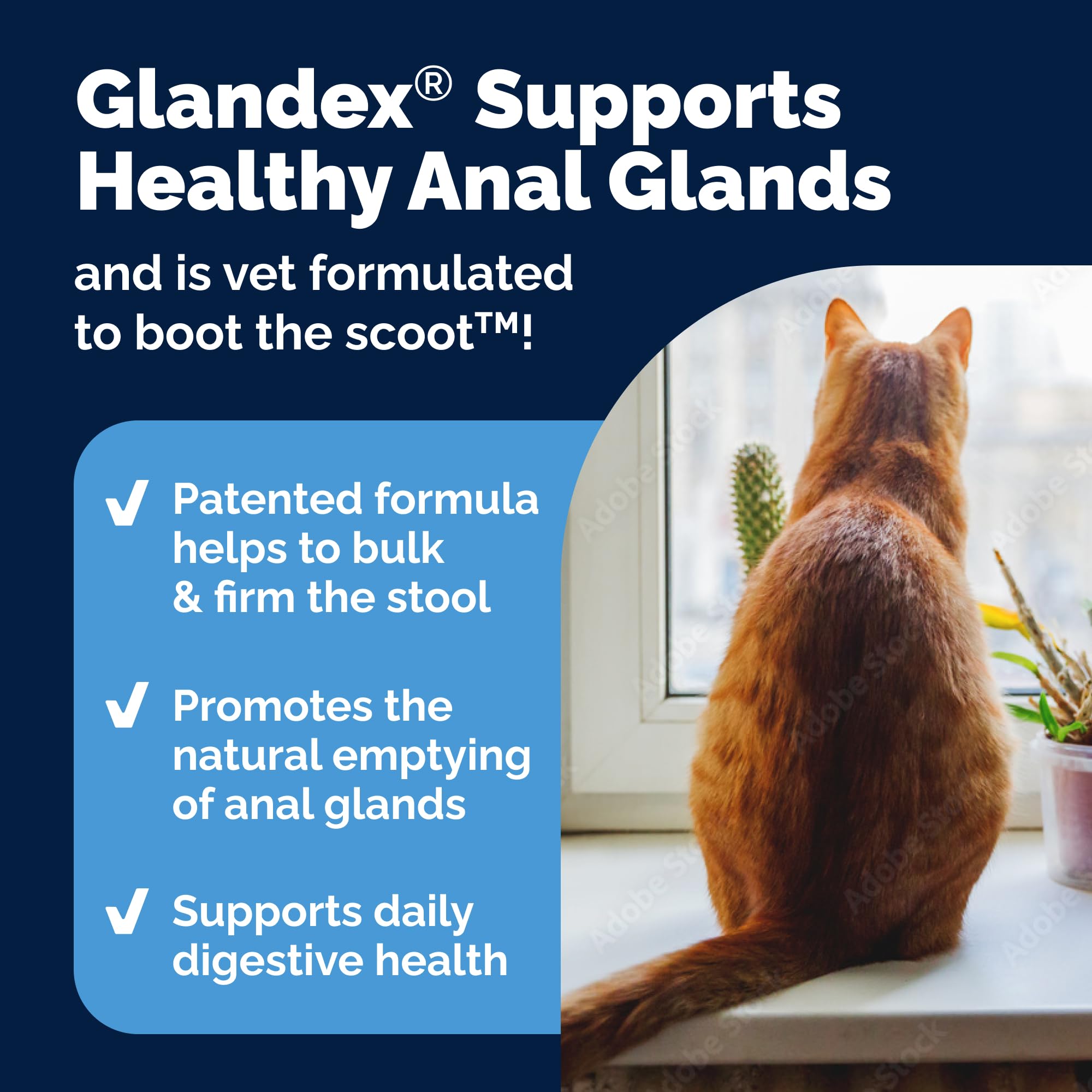 Vetnique Glandex daily scoop showing portion for accurate dosing.