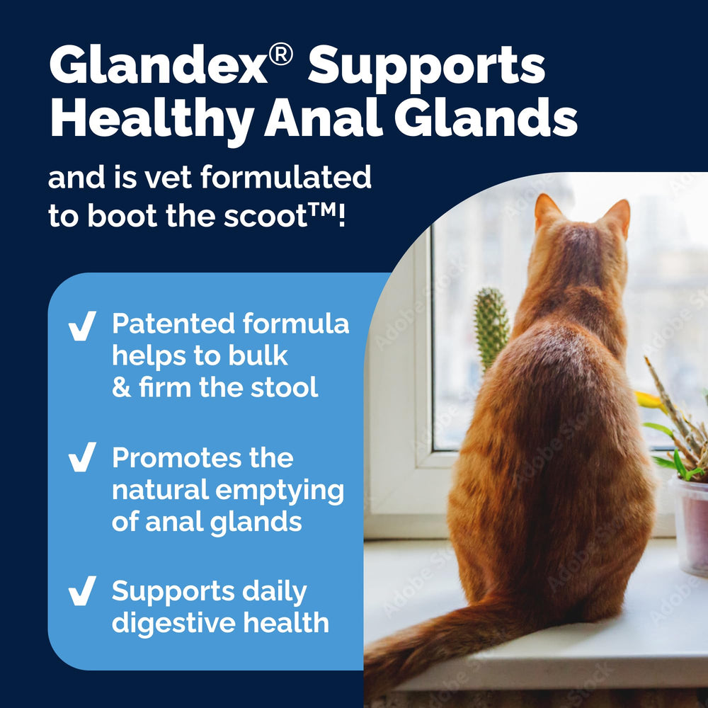 Vetnique Glandex daily scoop showing portion for accurate dosing.