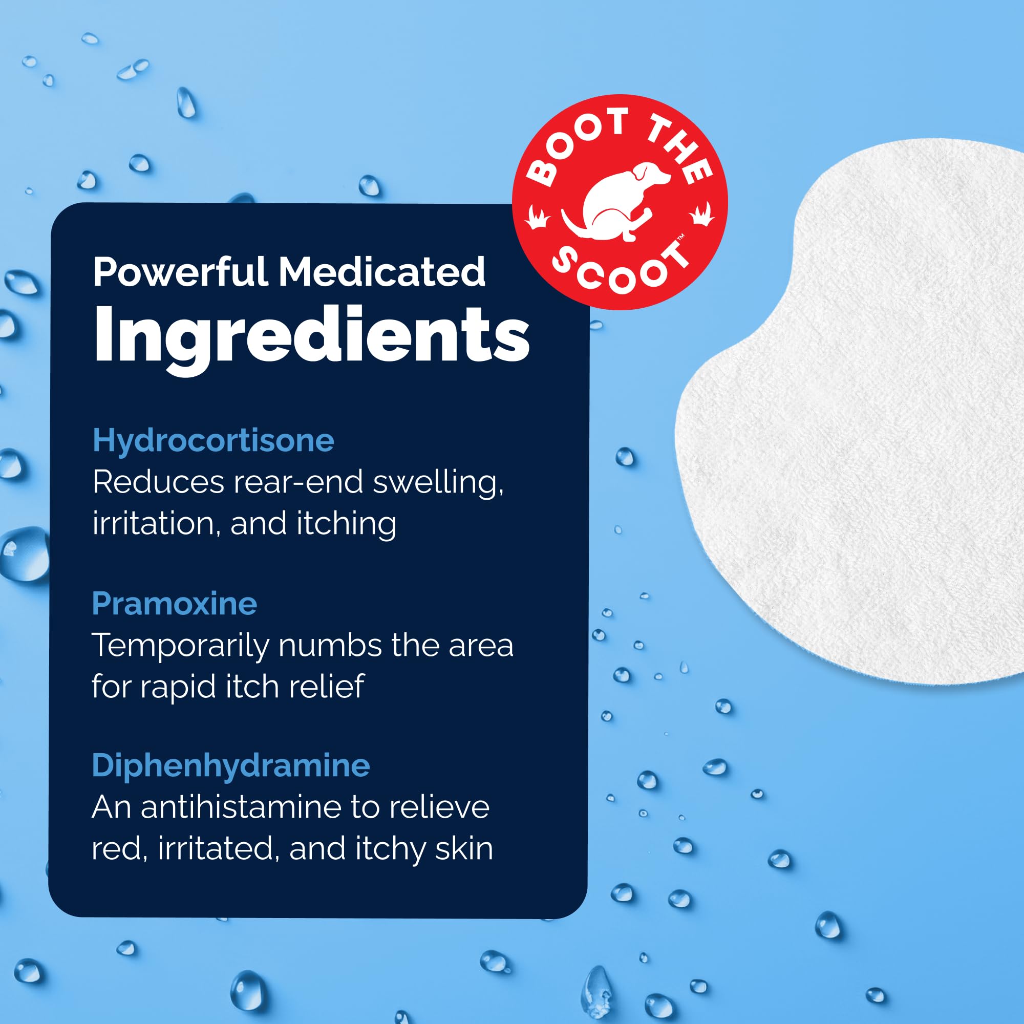 Vetnique Glandex medicated spray bottle close-up offering rapid topical relief for anal glands.