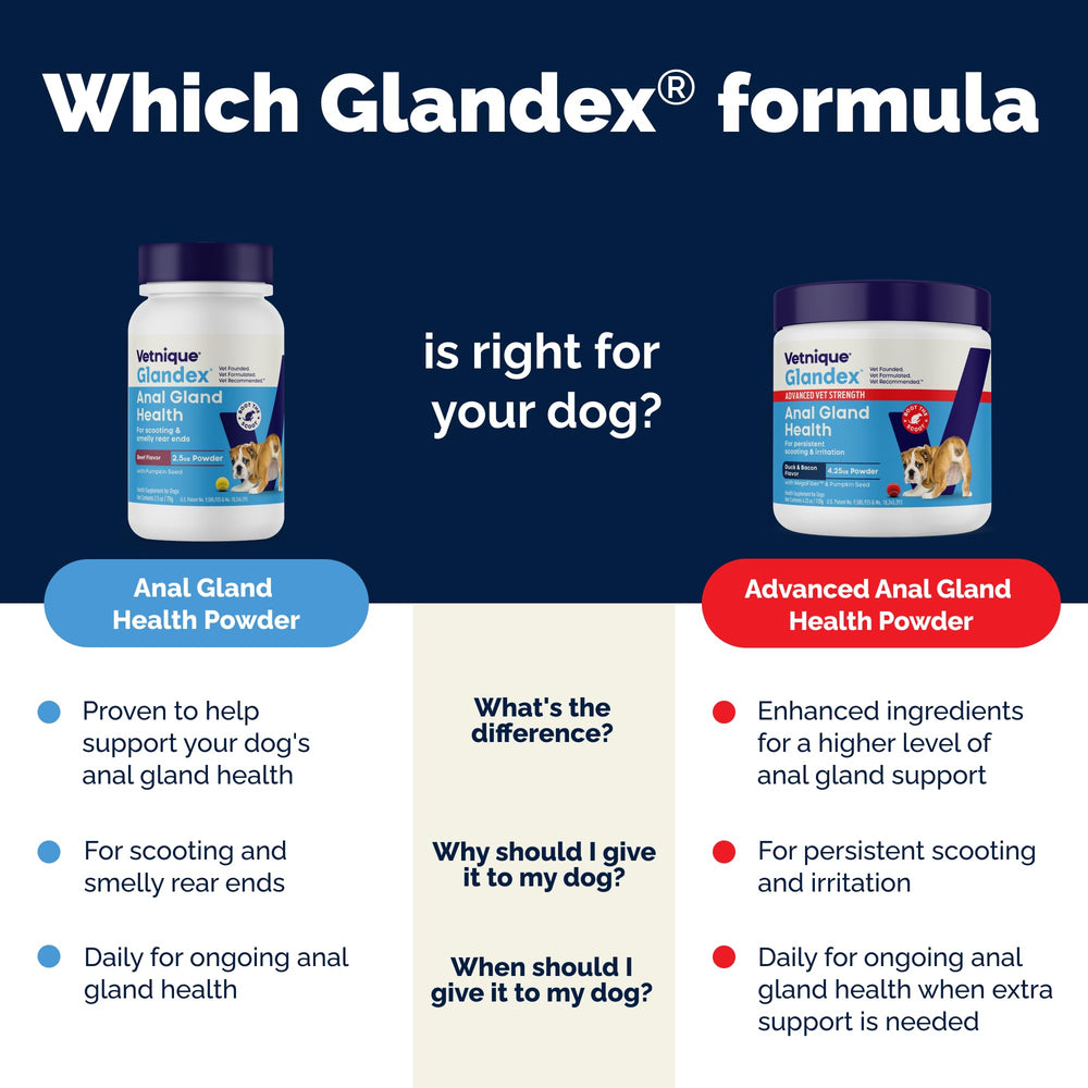 Vetnique Glandex packaging-box conveying vet‑approved formulation